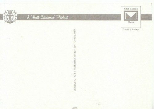 Scotland Postcard - St Mary's Loch - Heart of The Scottish Borders - Ref ZZ5583 - Picture 2 of 2