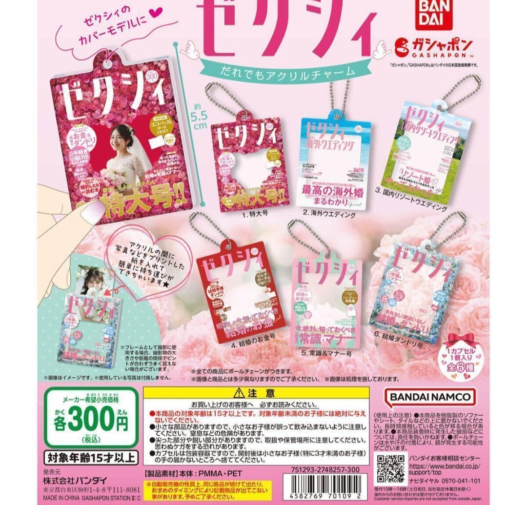 チャームコンプセット Capsule Toy Complete set Zexy Acrylic Charm | eBay