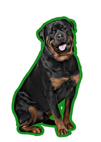 Rottweiler Hund 4 x Stinkende Hunde Auto Lufterfrischer, einzeln verpackt - Bild 2 von 2