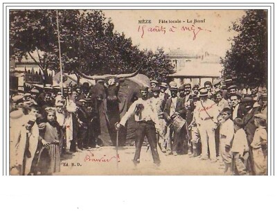 MEZE Fête Locale Le Boeuf - 1895
