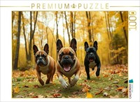 Calvendo Puzzle Hunting Through The Fall Leaves | 1000 Pieces, Finished Size 25.