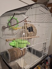 14" Small Parakeet Wire Bird Cage for small birds