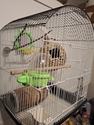 14" Small Parakeet Wire Bird Cage for small birds 