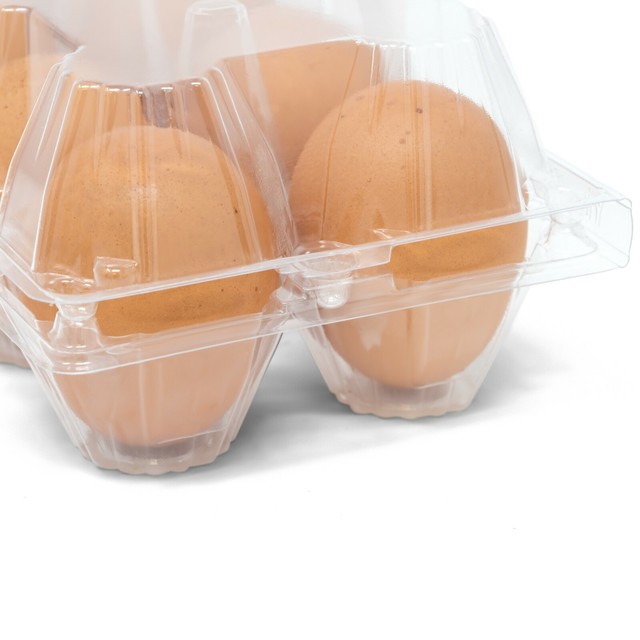 50 Pack of Egg Cartons Bulk, Clear Plastic Egg Cartons, 50 pack