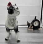 Photo 2/15