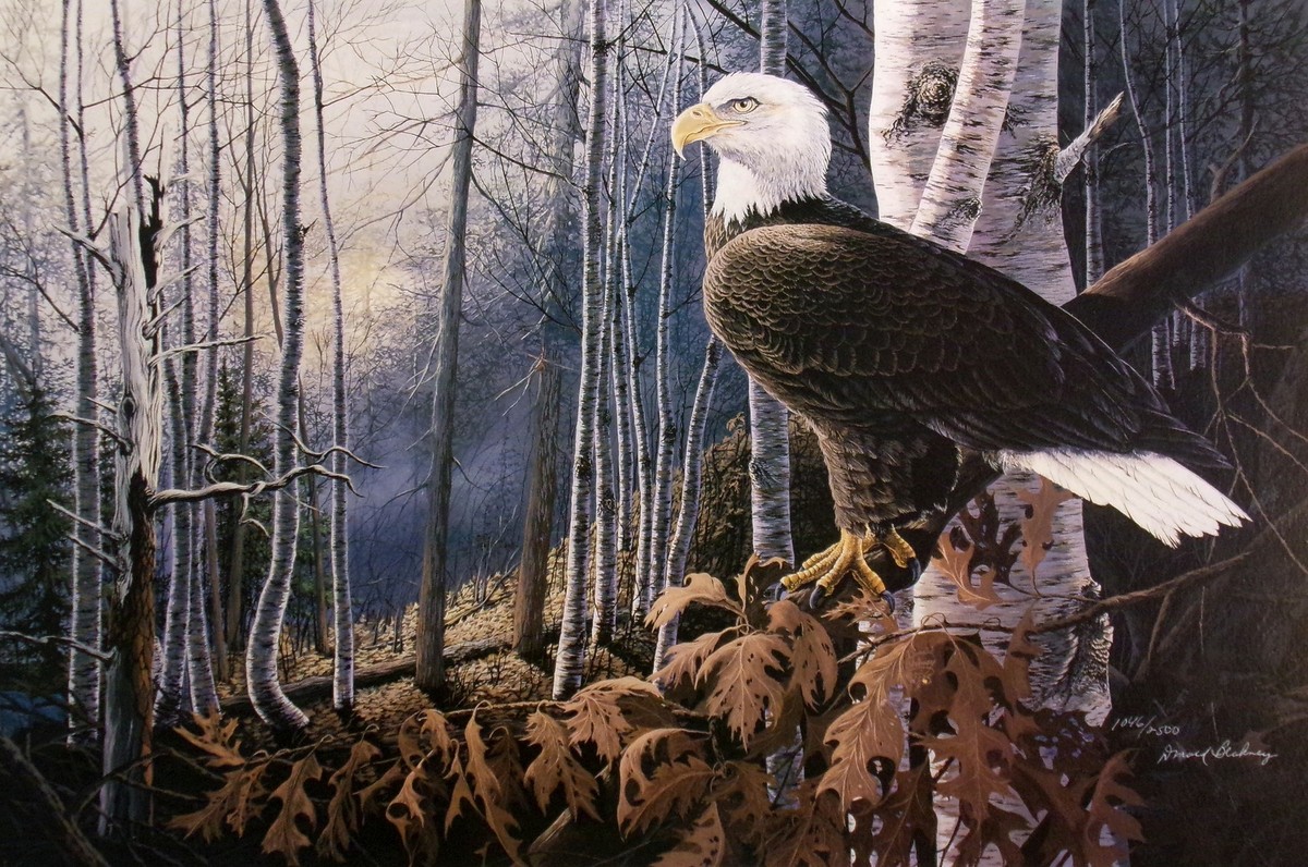 Donald Blakney 