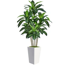 6FT Artificial Dracaena Tree, Fake Tree Indoor with White Tall Planter,Tall A...