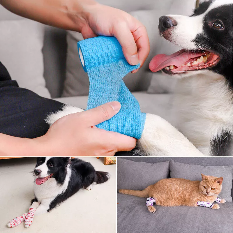 Dog sales medical tape