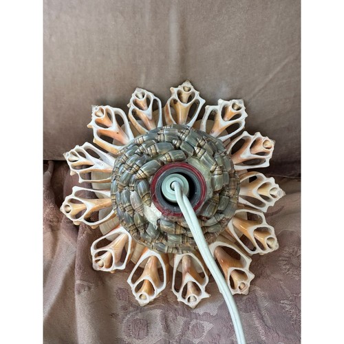 Vintage Natural Seashell flower Lamp Night Light Shell 6.5” retro nautical Mcm - Picture 4 of 14