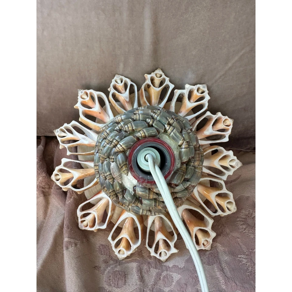 Vintage Natural Seashell flower Lamp Night Light Shell 6.5” retro nautical Mcm - Image 4 of 4