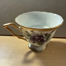 Royal Sealy  Tea Cup  And Saucer/ Violets/Gold Trim
