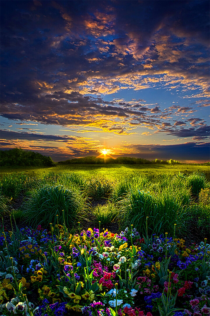 版画　20㎝×30㎝ Beautiful Sunset Landscape Print Canvas Wall Art Home Decor