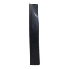 Baguette de porte Renault SCENIC