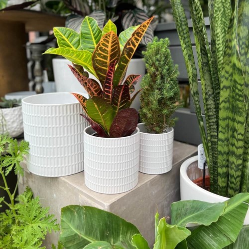 LARGE, MEDIUM, SMALL Glazed Ceramic Flower Pots Home Plant Pot Holder Pot Indoor - Picture 16 of 22