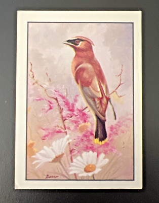 Kellogg's 1977 Bird ''STICK'R'' Bend & Peel Trading Cards ~ Cedar Waxwing