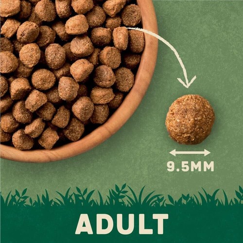 Harringtons Complete Dry Adult Dog Food Lamb & Rice 15 kg - Made with All - Picture 3 of 5