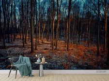 3D Forest Night Wallpaper Wall Mural Removable Self-adhesive Sticker8116