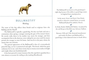 Bullmastiff - CUSTOM MATTED Dog Art Print - Breed Description and History