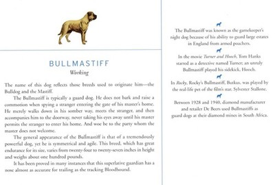 Bullmastiff - CUSTOM MATTED Dog Art Print - Breed Description and History