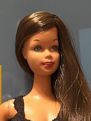 Malibu Barbie re-root Brown hair