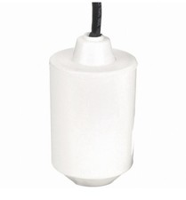 New Dayton 3BY74 Type G Float Switch 110VAC