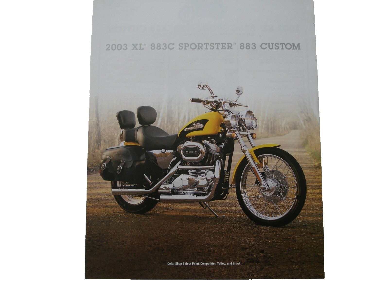 2003 Harley Davidson 100th Anniversary Sportster | eBay