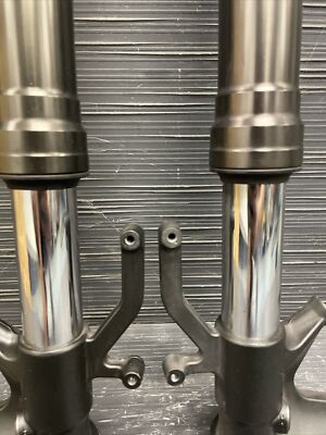 六條 2012 Kawasaki Ninja ZX6R Fork tubes, suspension forks OEM STRAIGHT