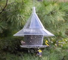 Sky Cafe Squirrel Proof Bird Feeder  - Large 17 in - & FREE MUG