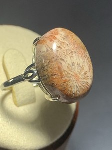 Natural Silicified Coral Fossil Flower Agate Ring/ Adjustable /