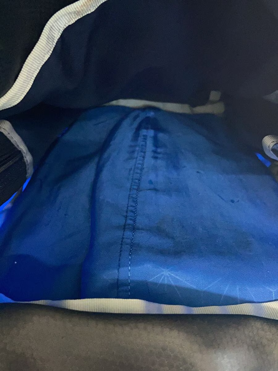 GREGORY Backpack - Condition Considered - Blue Pl… - image 6