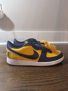 Nike Terminator Low Michigan | eBay