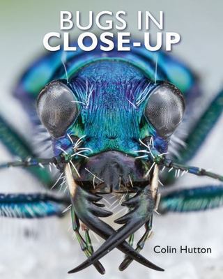 Bugs In Close-Up by Hutton, Colin
