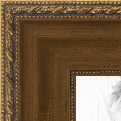 Arttoframes Collage Picture Frame With 20 - 4x6 Inch Openings
