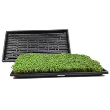 Microgreens Organic 4-Stage LED Hydroponic Indoor Growing Kit