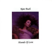 Hounds of Love von Bush, Kate | CD | Zustand sehr gut
