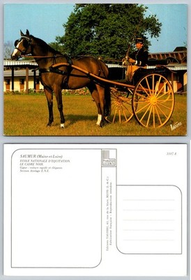 Saumur Le Cadre Noir Horse & Carriage France Postcard Leconte Valoire