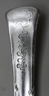 Vine by Tiffany & Co. Sterling Silver Teaspoon w/ gourd motif 6" — photo 5