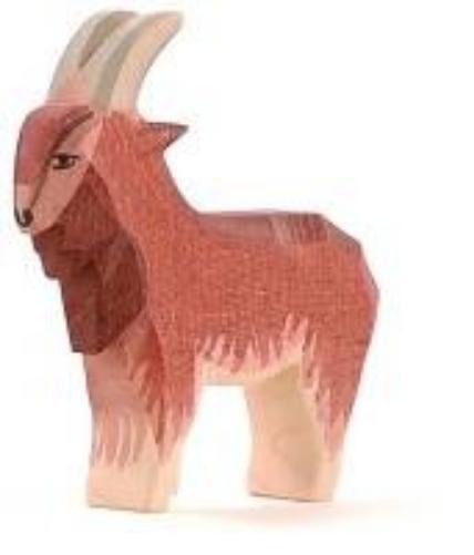 Ostheimer 11711 - He-Goat