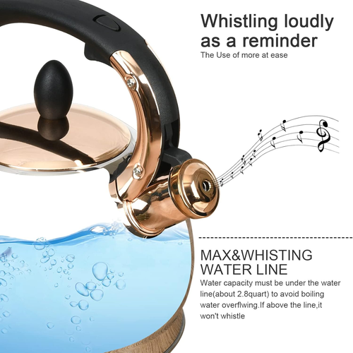 Stainless Steel Whistling Tea Kettle with Metal Capsulated Bottom for Quick Heat - Picture 3 of 12