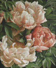 Needlework Crafts Full Embroidery Counted Cross Stitch Kits Coral Charm Peony II