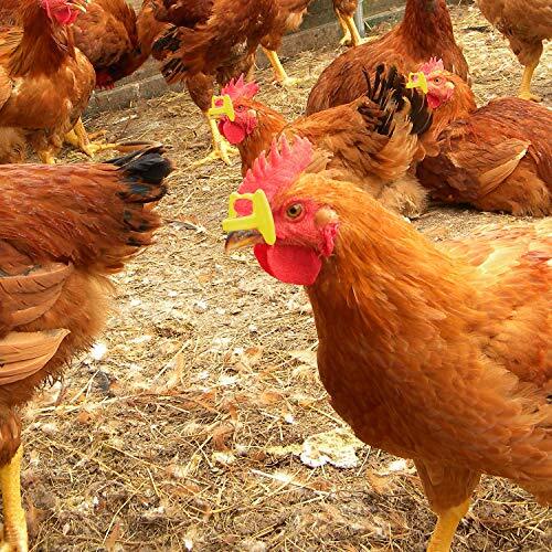 41 Stück Pinless Chicken Peepers Brille Fasan Geflügel Scheuklappen Anti Picken - Bild 6 von 7
