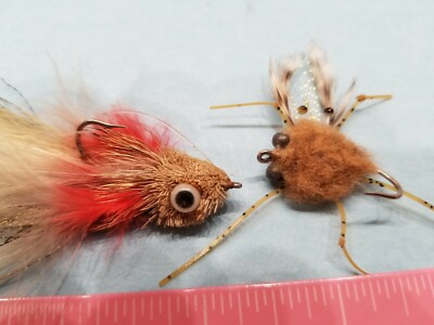 13 odyssey spin combo 13 Fishing SYNC Spinning Combo main image 1