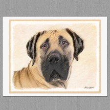 6 Boerboel South African Mastiff Dog Blank Art Note Greeting Cards