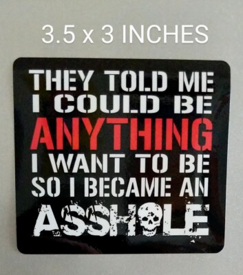 3.5'' A$$hole Decal Vinyl Sticker Funny Become Anything Inspirational Quote Skull