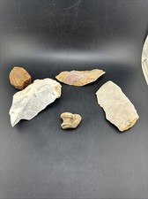 Small Cretaceous Period Mosasaur Vertebrae Fossil + More 💥📦