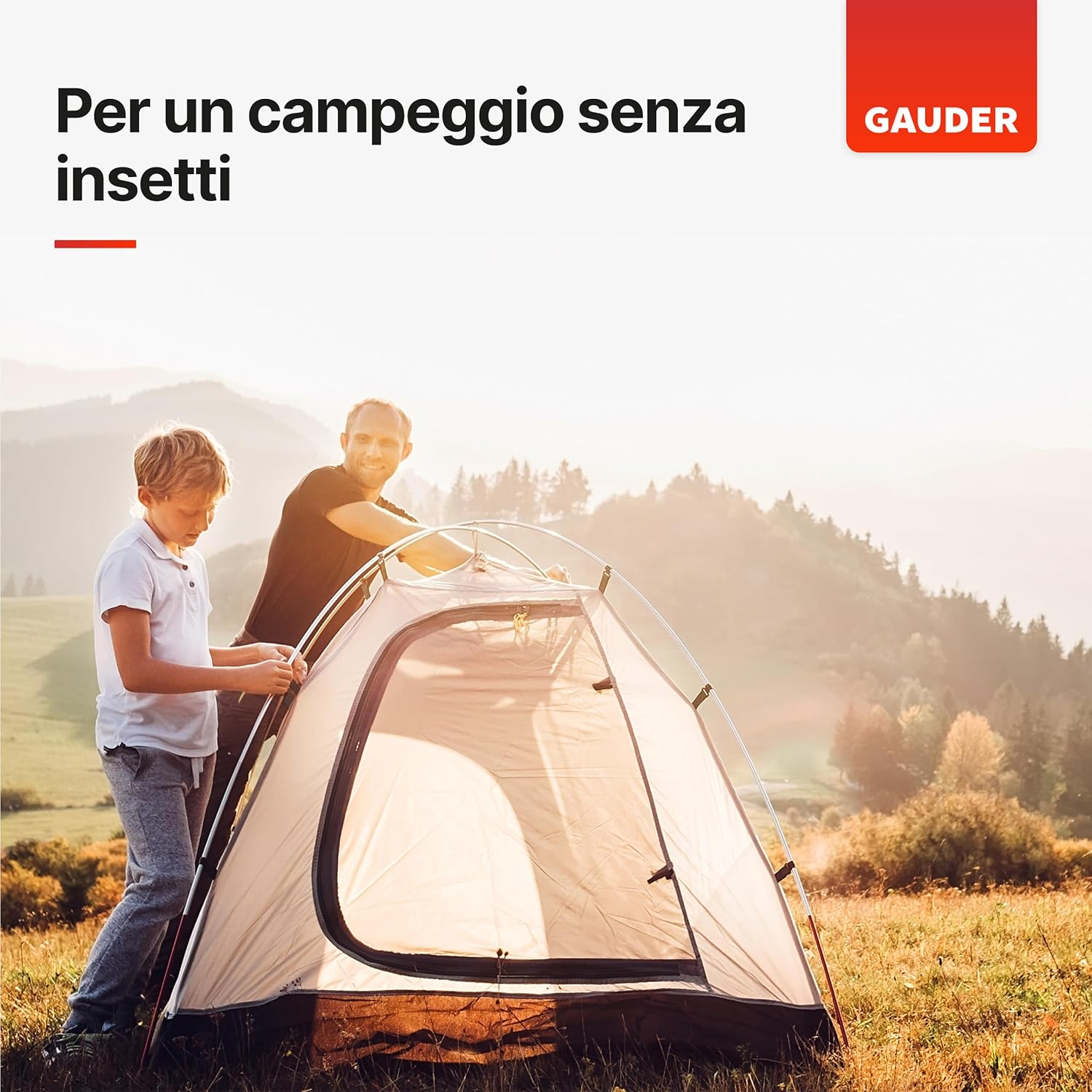 Foto 6 di 13