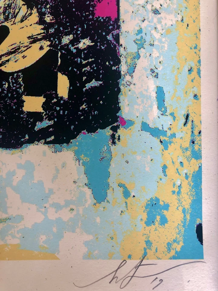 Shepard Fairey - Impresión Rosa Desintegración Mejorada Edición Limitada 121/350 Foto 3 de 4