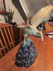 Picture 2 of 13