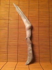 Beautiful 18" DRIFTWOOD Piece Terrarium Taxidermy Aquarium Beach Wood DECOR Art