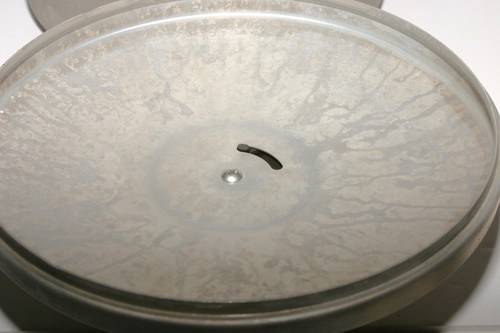 Vintage Wearever 6 Quart Stockpot Pre Owned - Picture 3 of 7